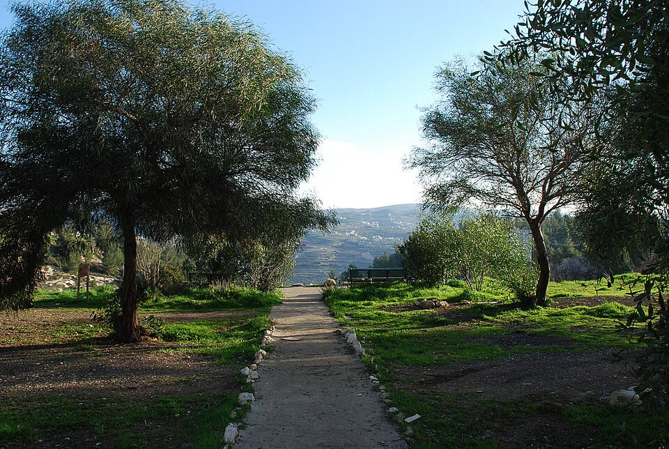Kiryat Menachem on the Rise: Jerusalem’s Next Real Estate Hotspot